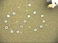 Robots change formation efficiently