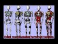 The most humanoid robot