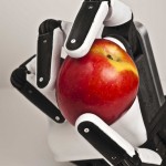 Photo Credit: Sandia National Laboratories. Photo By: Randy Montoya