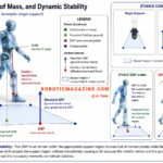 Zero Moment Principle (ZMP), Center of Mass, Dynamic Stability